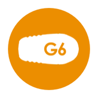 G6 transmitter image
